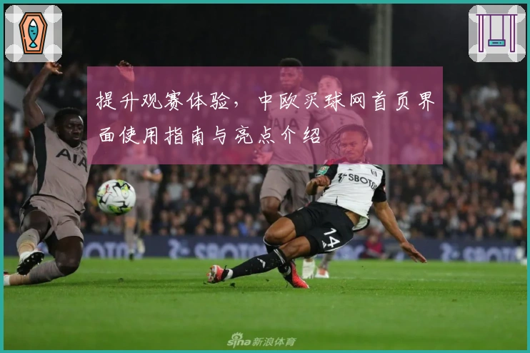 提升观赛体验，中欧买球网首页界面使用指南与亮点介绍