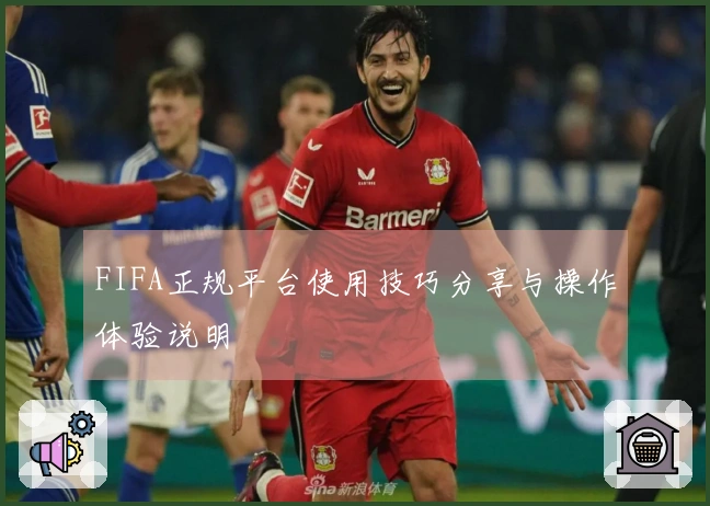 FIFA正规平台使用技巧分享与操作体验说明