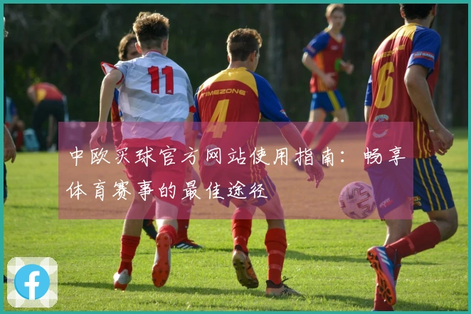 中欧买球官方网站使用指南：畅享体育赛事的最佳途径