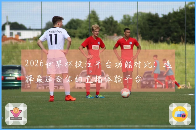 2026世界杯投注平台功能对比：选择最适合你的直播体验平台