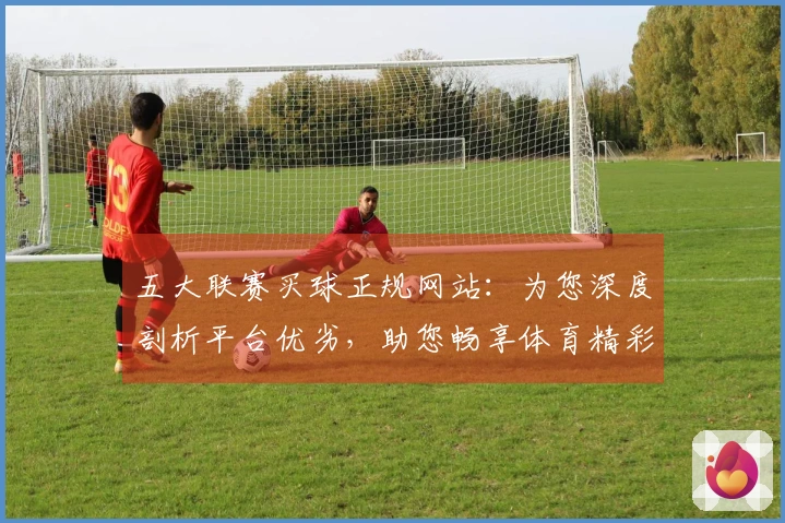 五大联赛买球正规网站：为您深度剖析平台优劣，助您畅享体育精彩