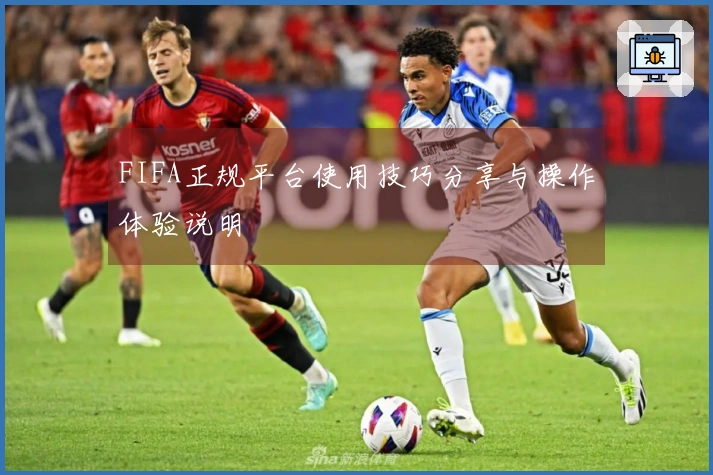 FIFA正规平台使用技巧分享与操作体验说明