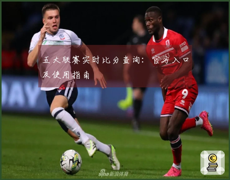 五大联赛实时比分查询：官方入口及使用指南